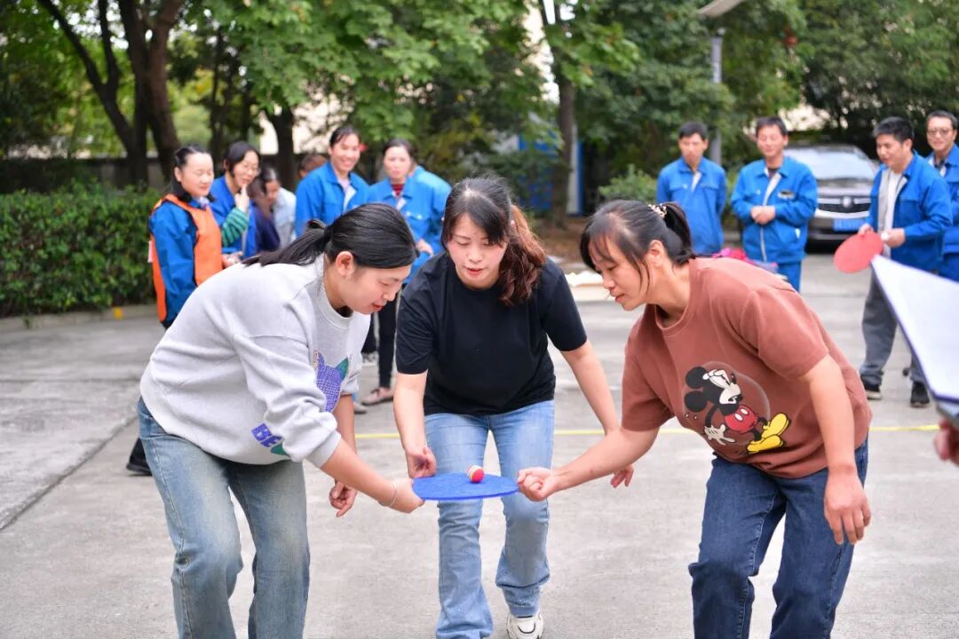 传承匠心,创新未来 | 德福伦2025年企业文化节圆满举行!-上海德福伦新材料科技有限公司