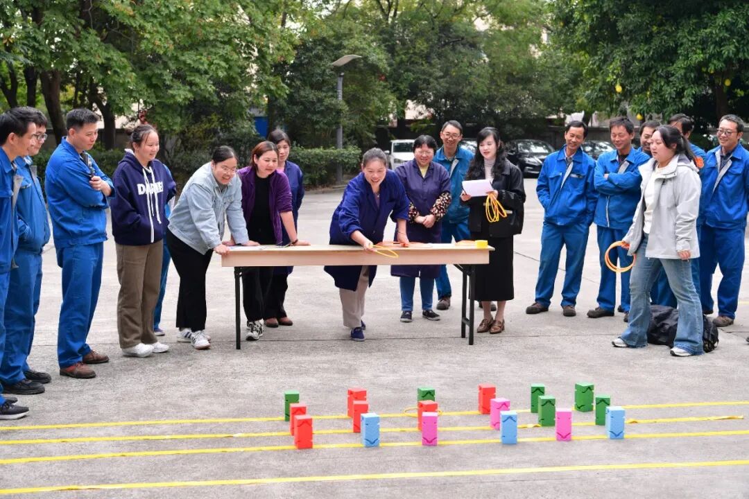 传承匠心,创新未来 | 德福伦2025年企业文化节圆满举行!-上海德福伦新材料科技有限公司