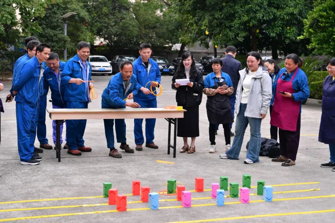 传承匠心,创新未来 | 德福伦2025年企业文化节圆满举行!-上海德福伦新材料科技有限公司