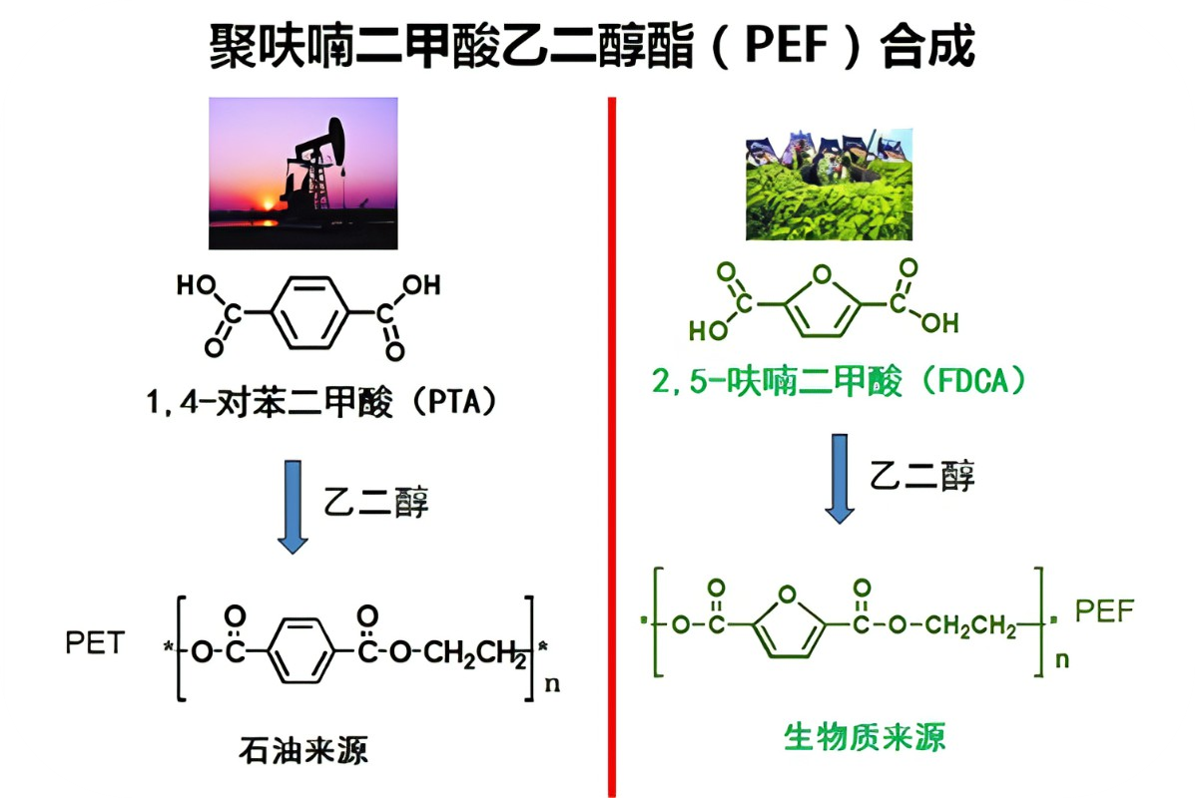 国家级认可！德福伦PEF纤维核心技术入围工信部非粮生物基材料产业创新发展典型案例-上海德福伦新材料科技有限公司