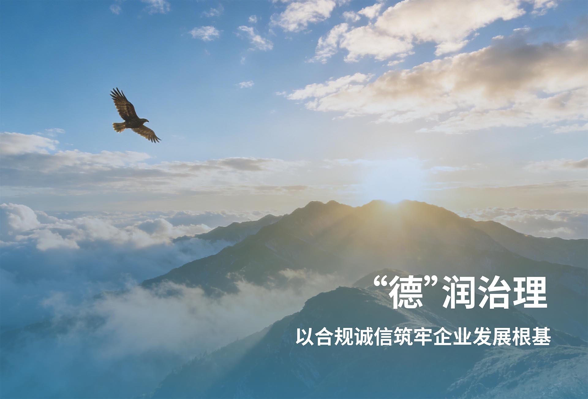 2025年度环境、社会及治理（ESG）报告-上海德福伦新材料科技有限公司
